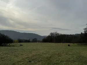 Prodej pozemku, Sloup, 4755 m2