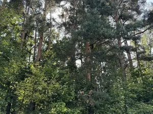 Prodej podílu pozemku, Hradiště, 3093 m2