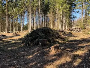 Prodej podílu pozemku, Studená, 18432 m2