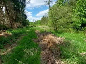 Prodej podílu lesa, Dolní Cerekev, 5366 m2