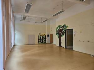 Pronájem komerční nemovitosti, Brno, Botanická, 105 m2
