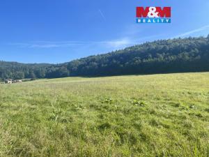 Prodej pozemku pro bydlení, Střílky, 4460 m2