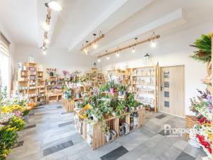 Prodej bytu 6+kk a větší, Ostrava - Mariánské Hory, 28. října, 256 m2