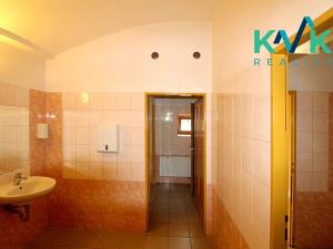 Pronájem restaurace, Ostrov, Jáchymovská, 50 m2