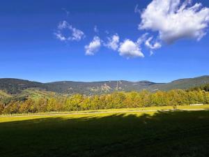 Prodej rodinného domu, Jablonec nad Jizerou - Blansko, 224 m2