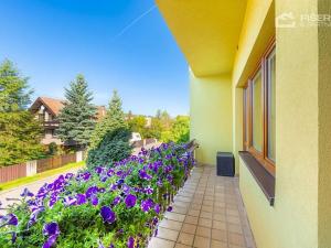 Prodej vícegeneračního domu, Jablůnka, 150 m2