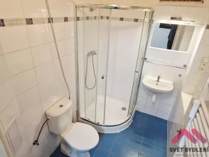 Pronájem bytu 2+kk, Praha - Nové Město, Mezibranská, 45 m2