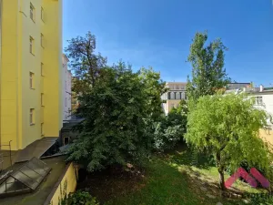 Pronájem bytu 2+kk, Praha - Nové Město, Mezibranská, 45 m2