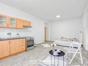 Prodej bytu 2+kk, Ostrava, Alšovo náměstí, 51 m2