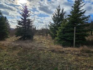 Dražba pozemku, Brno, 994 m2