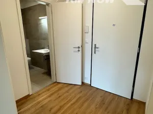 Pronájem bytu 2+kk, Brno, Škrochova, 50 m2