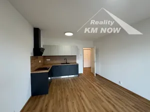Pronájem bytu 2+kk, Brno, Škrochova, 50 m2