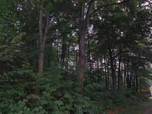 Prodej podílu lesa, Velké Hamry, 2705 m2