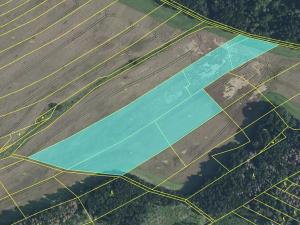 Prodej podílu pole, Pavlov, 11645 m2