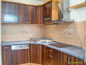 Prodej bytu 2+kk, Plzeň, Vrchlického, 46 m2
