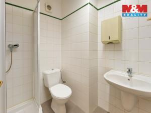 Pronájem kanceláře, Praha - Vinohrady, Kolínská, 100 m2