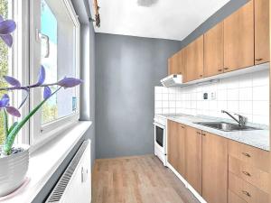 Pronájem bytu 1+kk, Milovice, Braniborská, 30 m2