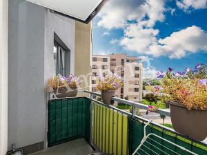 Pronájem bytu 2+kk, Praha - Hostivař, Rižská, 52 m2