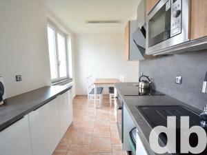 Pronájem bytu 3+1, Krásné Údolí, 83 m2