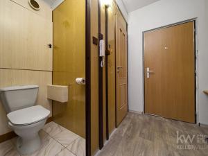 Prodej bytu 1+1, Plzeň, Žlutická, 39 m2