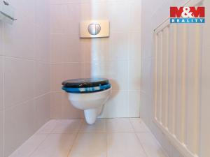 Prodej rodinného domu, Aš - Mokřiny, 180 m2