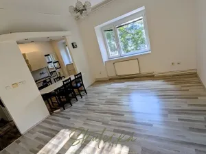Pronájem bytu 2+kk, Hodonín, 56 m2