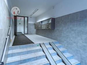 Prodej bytu 2+kk, Praha - Žižkov, Havlíčkovo náměstí, 60 m2