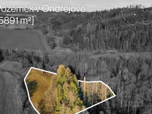 Prodej rodinného domu, Ondřejov, Družstevní, 90 m2