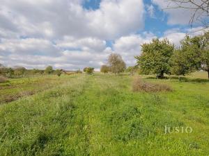 Prodej garáže, Těmice, 38 m2