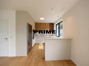 Pronájem rodinného domu, Praha - Řepy, U Lesoparku, 408 m2