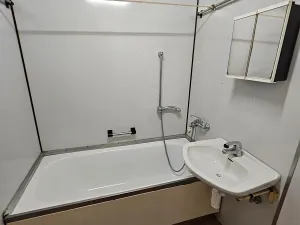 Prodej bytu 2+1, Brno, Oderská, 58 m2