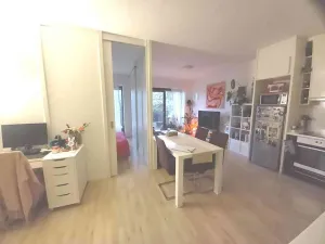 Prodej bytu 2+kk, Brno, Kigginsova, 52 m2