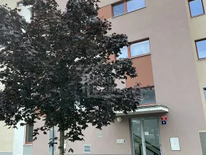 Pronájem bytu 2+kk, Praha - Kamýk, Freiwaldova, 70 m2