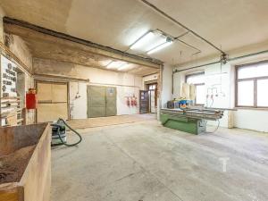 Prodej komerční nemovitosti, Lipovec, 670 m2