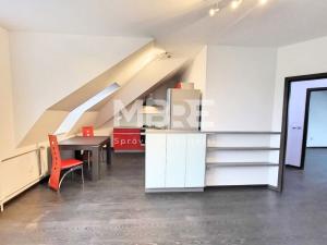 Pronájem bytu 2+kk, Karviná - Nové Město, Havířská, 60 m2