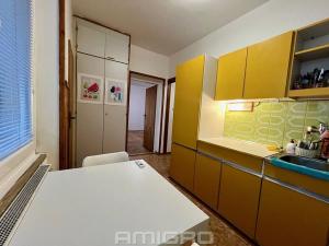 Pronájem bytu 1+1, Brno, Bohuslava Martinů, 38 m2