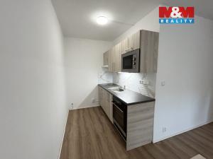 Pronájem bytu 2+kk, Louny, Husova, 41 m2