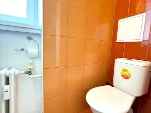Pronájem bytu 3+1, Hodonín, Horní Valy, 58 m2
