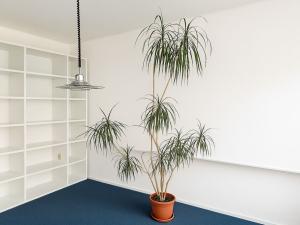 Pronájem bytu 1+1, Havířov - Město, Národní třída, 62 m2