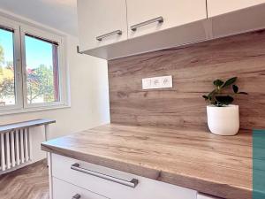 Pronájem bytu 1+1, Kroměříž, Spáčilova, 33 m2