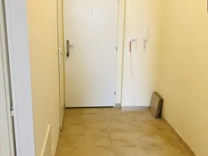 Pronájem bytu 2+kk, Praha, Remízková, 58 m2
