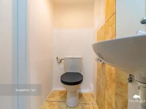 Pronájem bytu 2+kk, Plzeň, Lipová, 60 m2