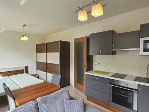 Pronájem bytu 1+kk, Kolín, Václavská, 31 m2