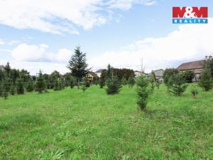 Prodej pozemku pro bydlení, Nový Malín, 1256 m2