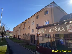 Pronájem bytu 2+1, Příbram, Politických vězňů, 55 m2