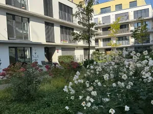 Pronájem bytu 1+kk, Praha - Hodkovičky, Šenácká, 30 m2