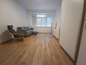 Pronájem bytu 1+1, Brno, Špitálka, 45 m2
