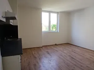 Pronájem bytu 1+kk, Praha - Břevnov, Na břevnovské pláni, 30 m2