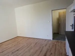 Pronájem bytu 1+kk, Praha - Břevnov, Na břevnovské pláni, 30 m2