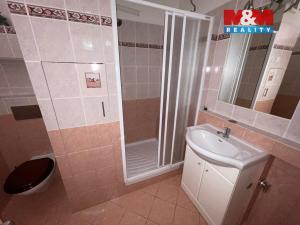 Pronájem bytu 1+1, Děčín - Děčín IX-Bynov, Na Pěšině, 34 m2